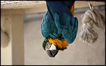 IMG 0373