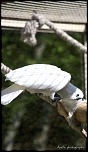 IMG 0370