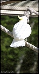 IMG 0371