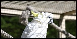 IMG 0369