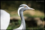IMG 0364