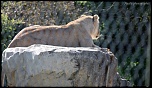 IMG 0338