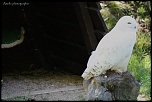 IMG 0358