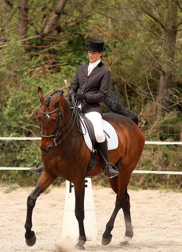 Bonjour...-010511-dressage-lac-bleu-085.jpg