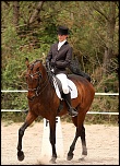 Equitation