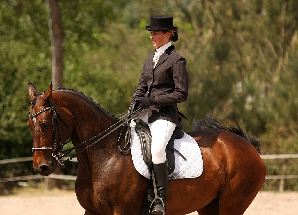 Bonjour...-010511-dressage-lac-bleu-098.jpg