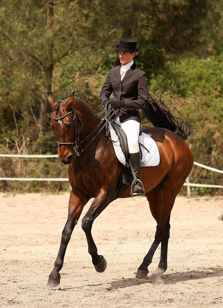 Bonjour...-010511-dressage-lac-bleu-096.jpg
