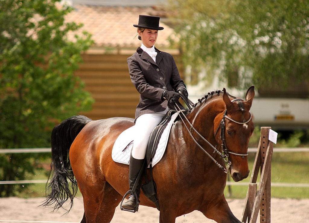 Bonjour...-010511-dressage-lac-bleu-083.jpg