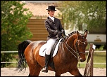 Bonjour...-010511-dressage-lac-bleu-083.jpg