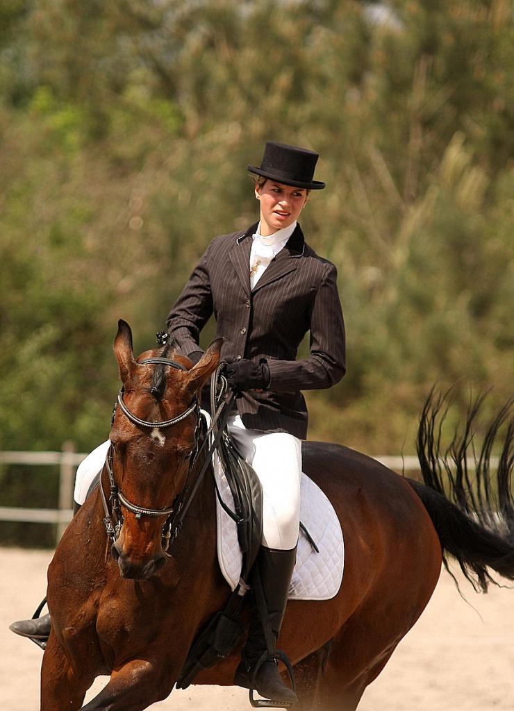 Bonjour...-010511-dressage-lac-bleu-089.jpg