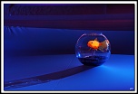 -40d13159-cs-cadre2.jpg