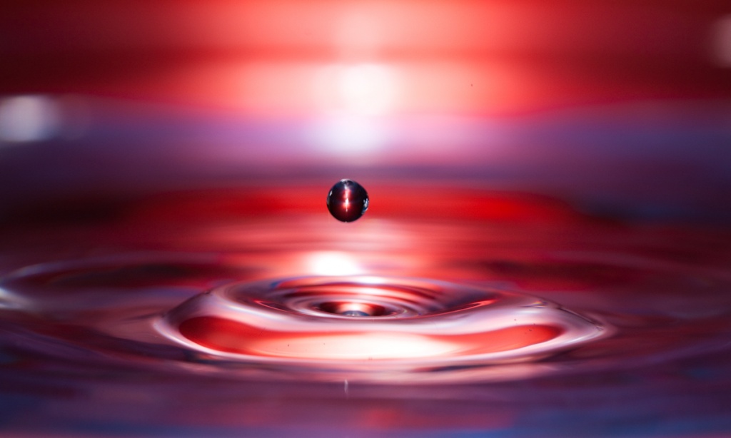 -goutte84-12.jpg