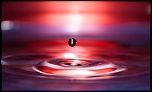 -goutte84-12.jpg