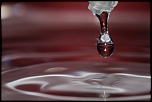 -goutte17-1.jpg