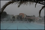 brume  Opio
