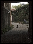 chat