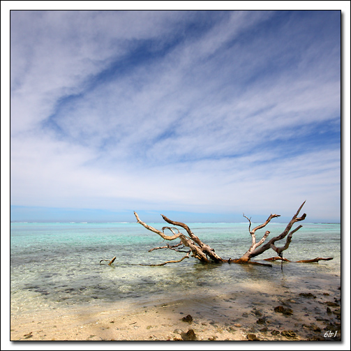 -40d12244-cs-cadre2.jpg