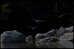 -img_1882.jpg