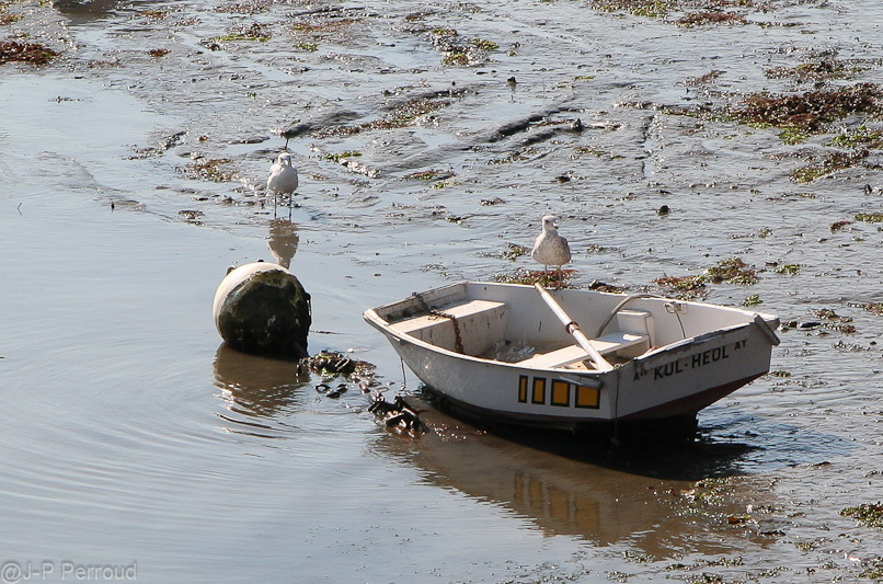 Coucouuuuu &#33;-bateaux-0117.jpg