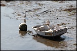 Coucouuuuu &#33;-bateaux-0117.jpg