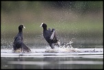 -06052011-cv6q1158.jpg