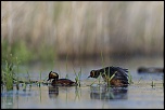 -02052011-cv6q0932.jpg