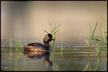 -02052011-cv6q0885.jpg