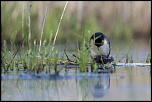 -02052011-cv6q0921.jpg