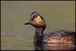 -02052011-cv6q0952.jpg