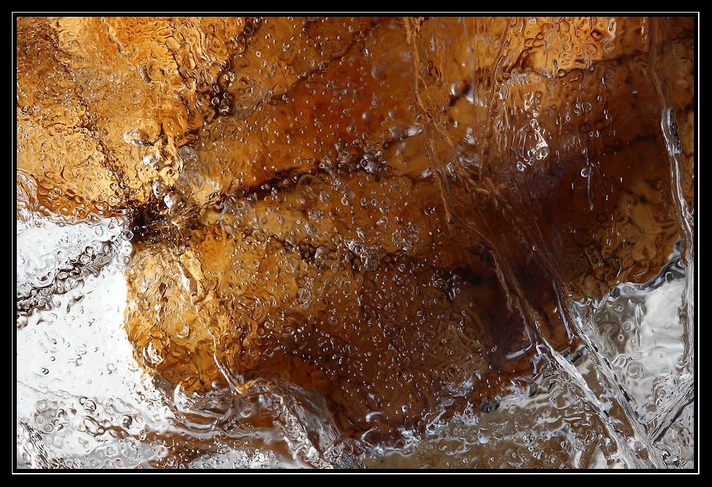 feuille glace
