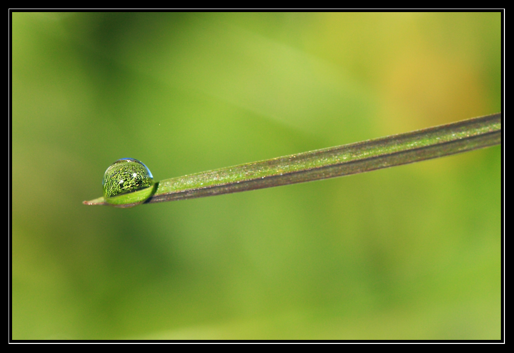 Gouttes d'eau 2