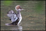 -img_2800.jpg
