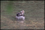 -img_2810.jpg