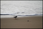 Et un de plus...-img_0890c.jpg