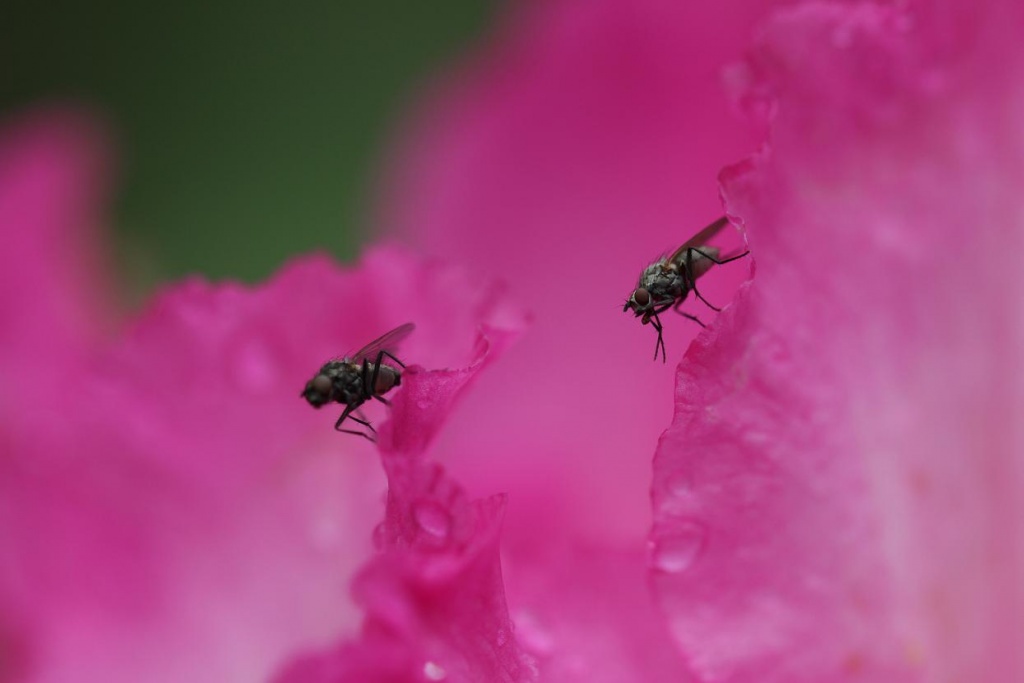 Et un de plus...-img_1734a.jpg