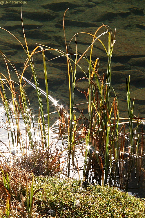 -lac-champex001.jpg