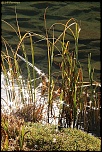 -lac-champex001.jpg
