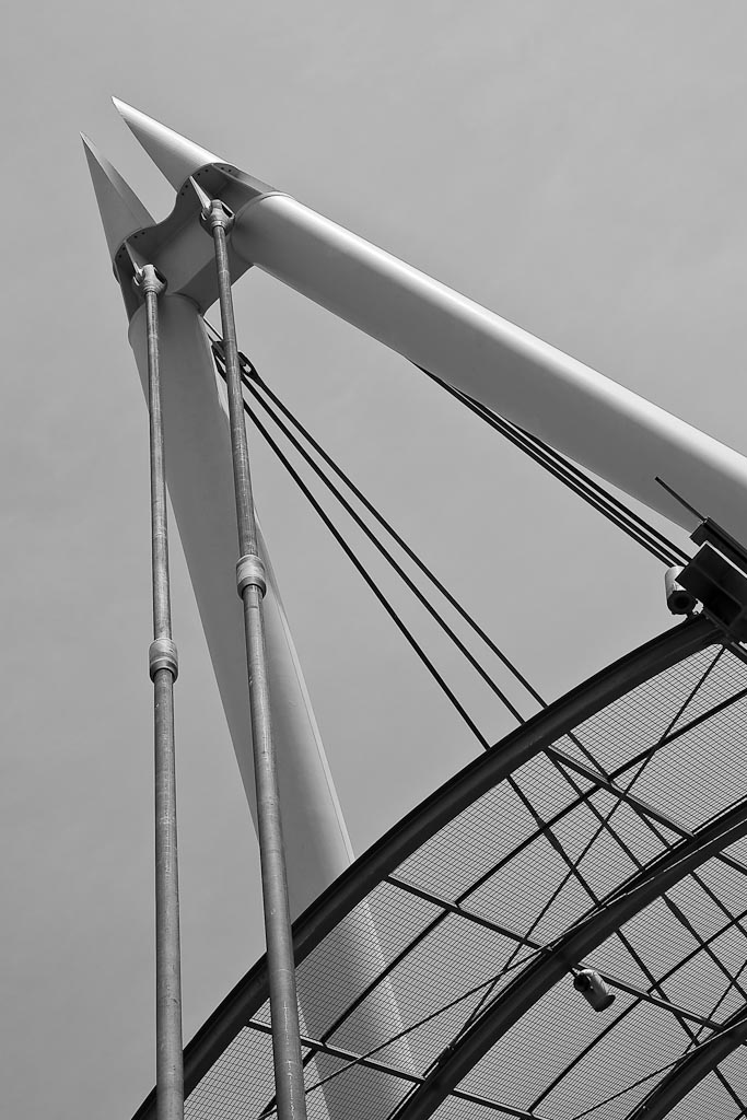 -vers-le-ciel-noir-et-blanc-.jpg