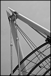 -vers-le-ciel-noir-et-blanc-.jpg