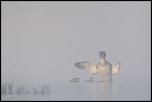 -13052011-cv6q1651.jpg