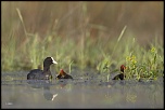 -09052011-cv6q1278.jpg