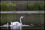 -12052011-cv6q1610.jpg