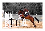 -img_28351.jpg