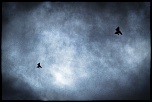 Retour ....-ulm02.jpg