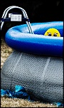 Retour ....-canard-piscine02.jpg