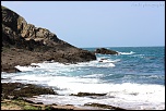 -img_1769.jpg