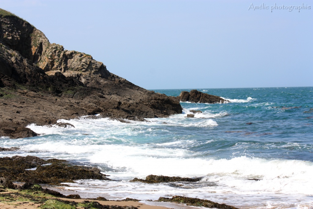 -img_1769.jpg