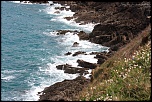 -img_1696.jpg