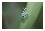 -img_1925.jpg