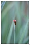 -img_1858.jpg